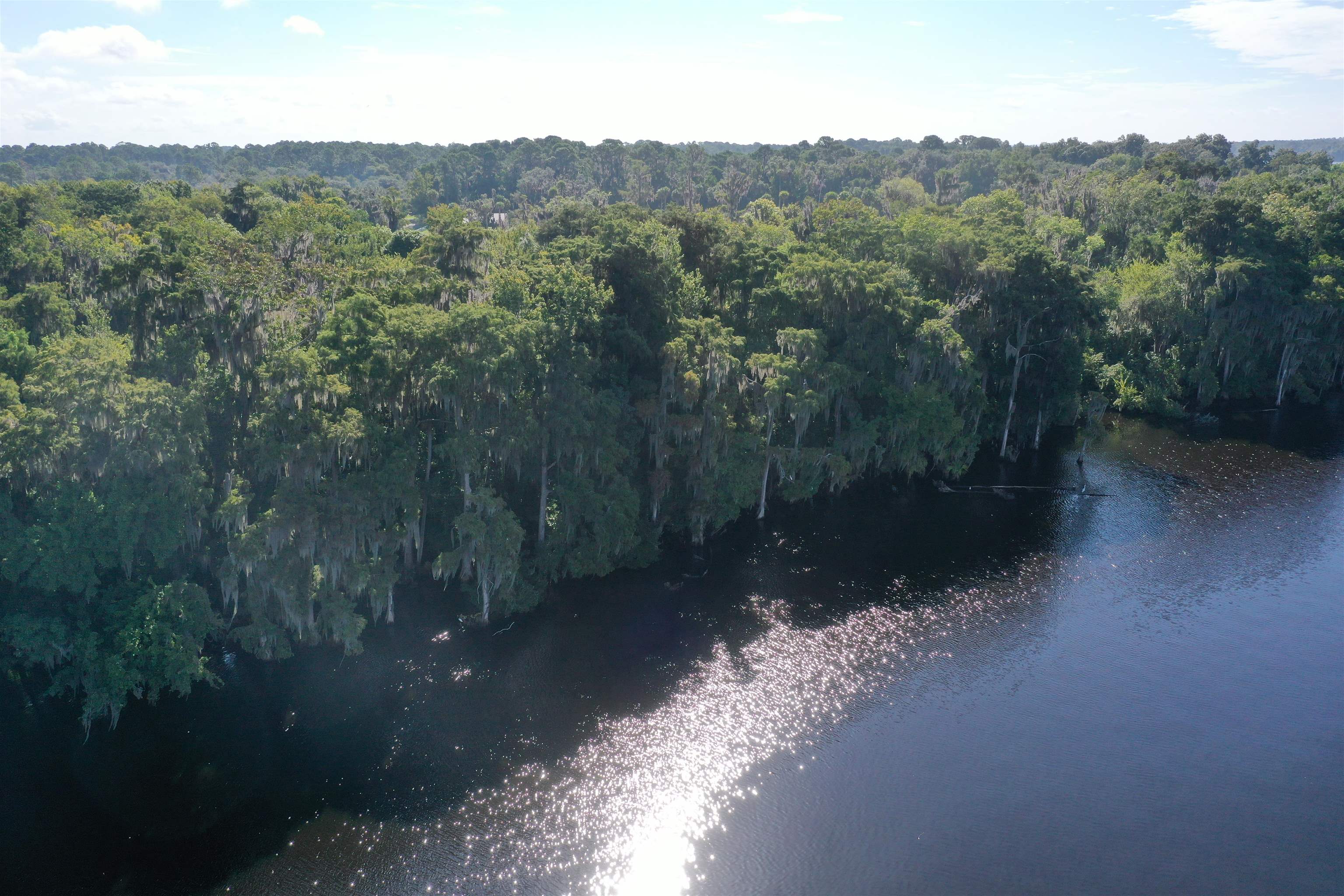 Wooten Rd Crescent Crescent City, FL 32112 - Photo 14 of 25 a view of a road with a forest