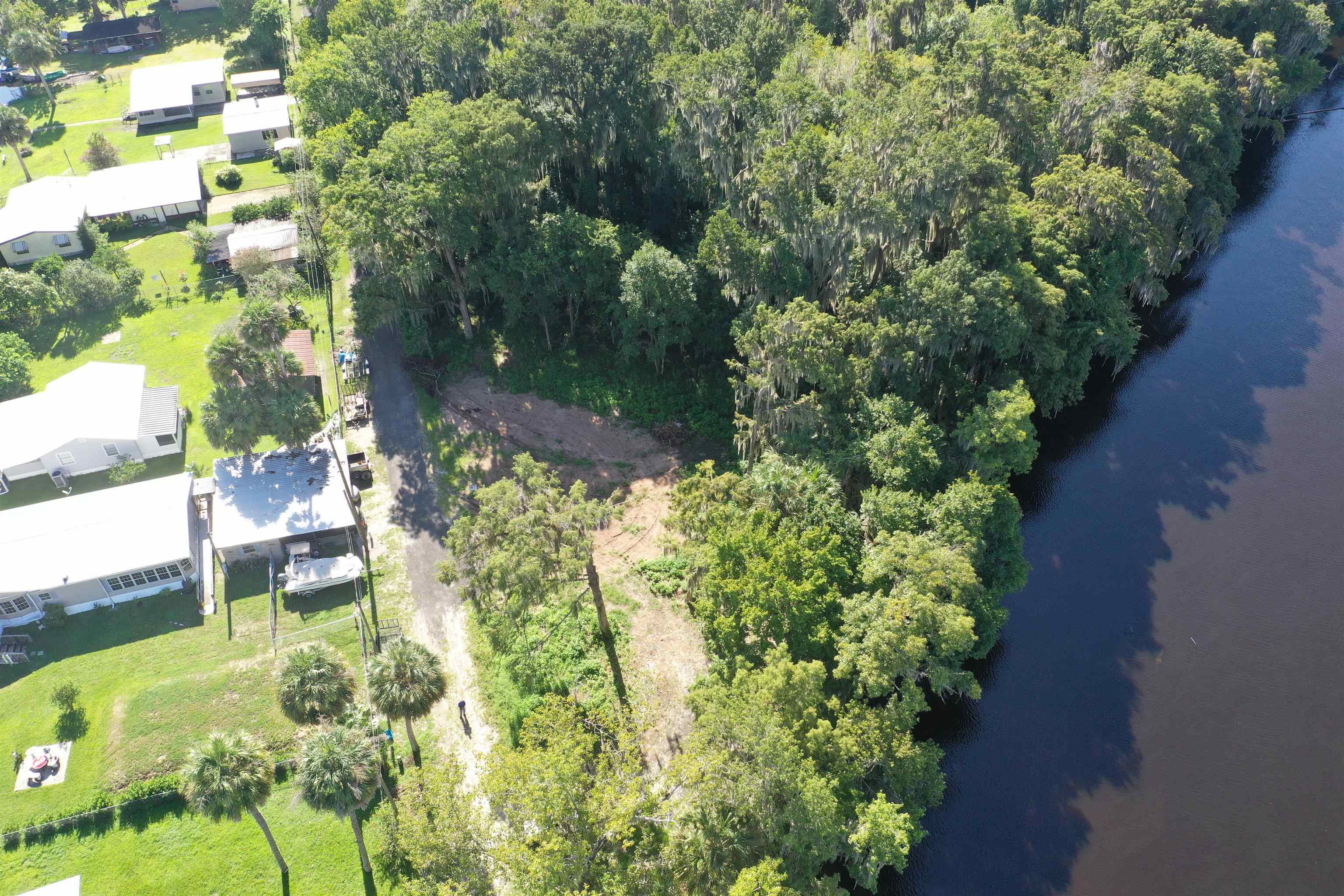 Wooten Rd Crescent Crescent City, FL 32112 - Photo 16 of 25 a view of a yard with plants