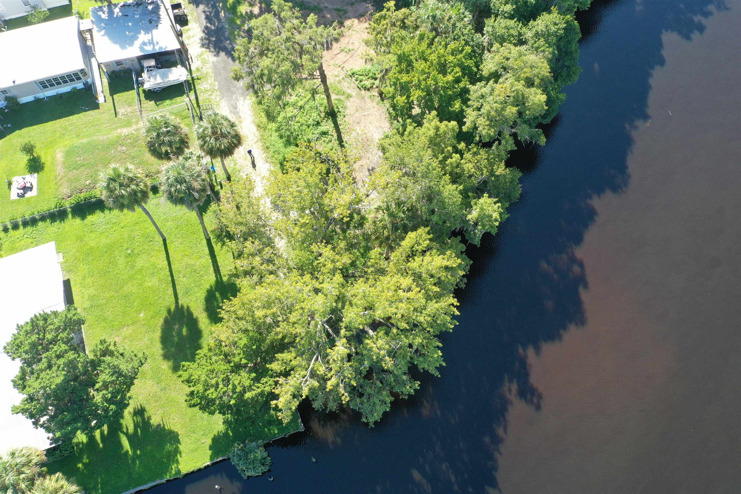 Wooten Rd Crescent Crescent City, FL 32112 - Photo 18 of 25 a close up of a flower in a garden