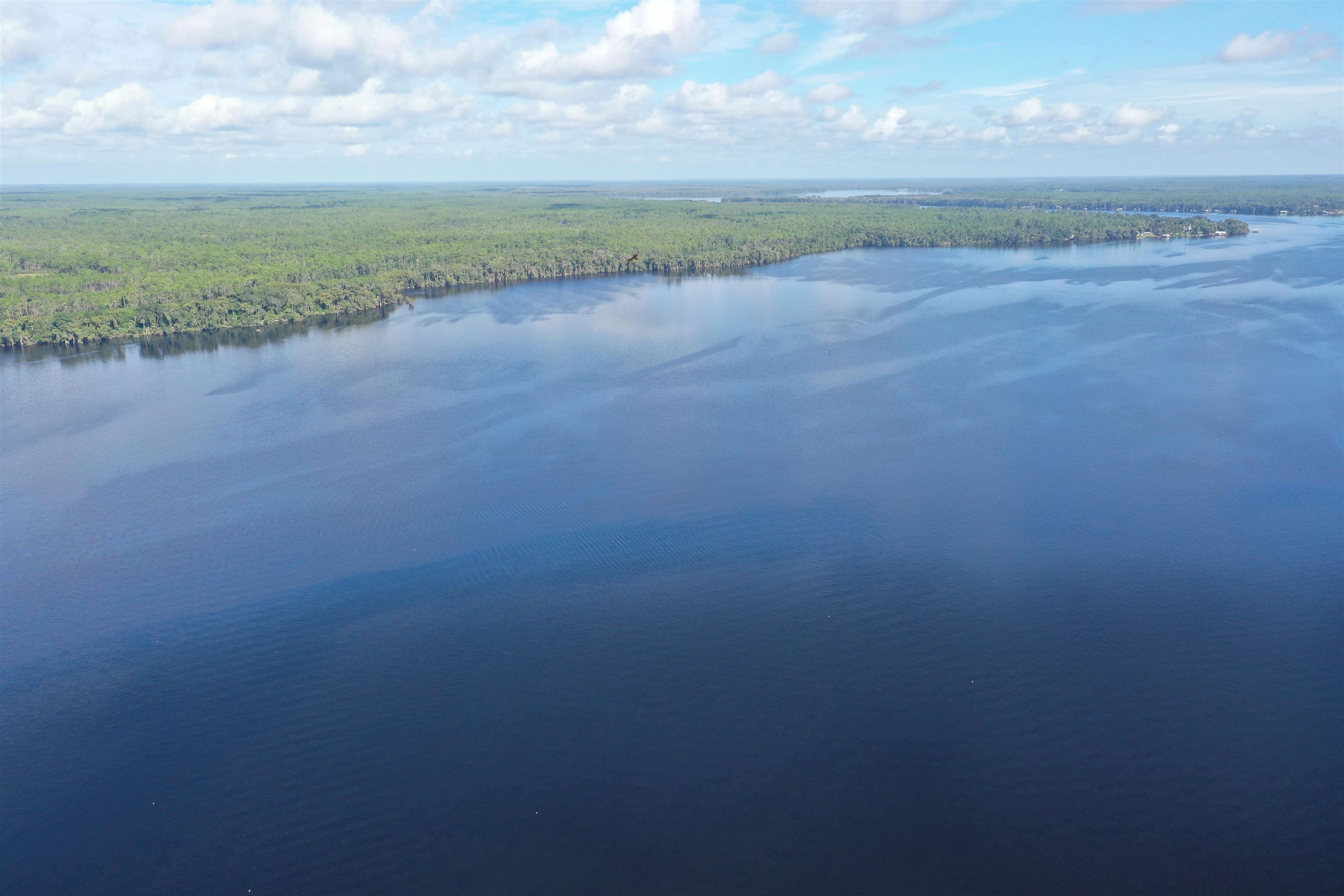 Wooten Rd Crescent Crescent City, FL 32112 - Photo 22 of 25 a view of a yard with an outdoor space