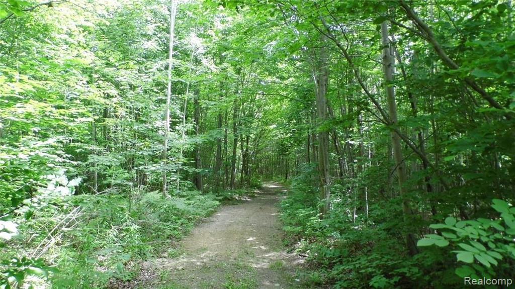 0 Sanilac Road Vassar, MI 48768 - Photo 5 of 9