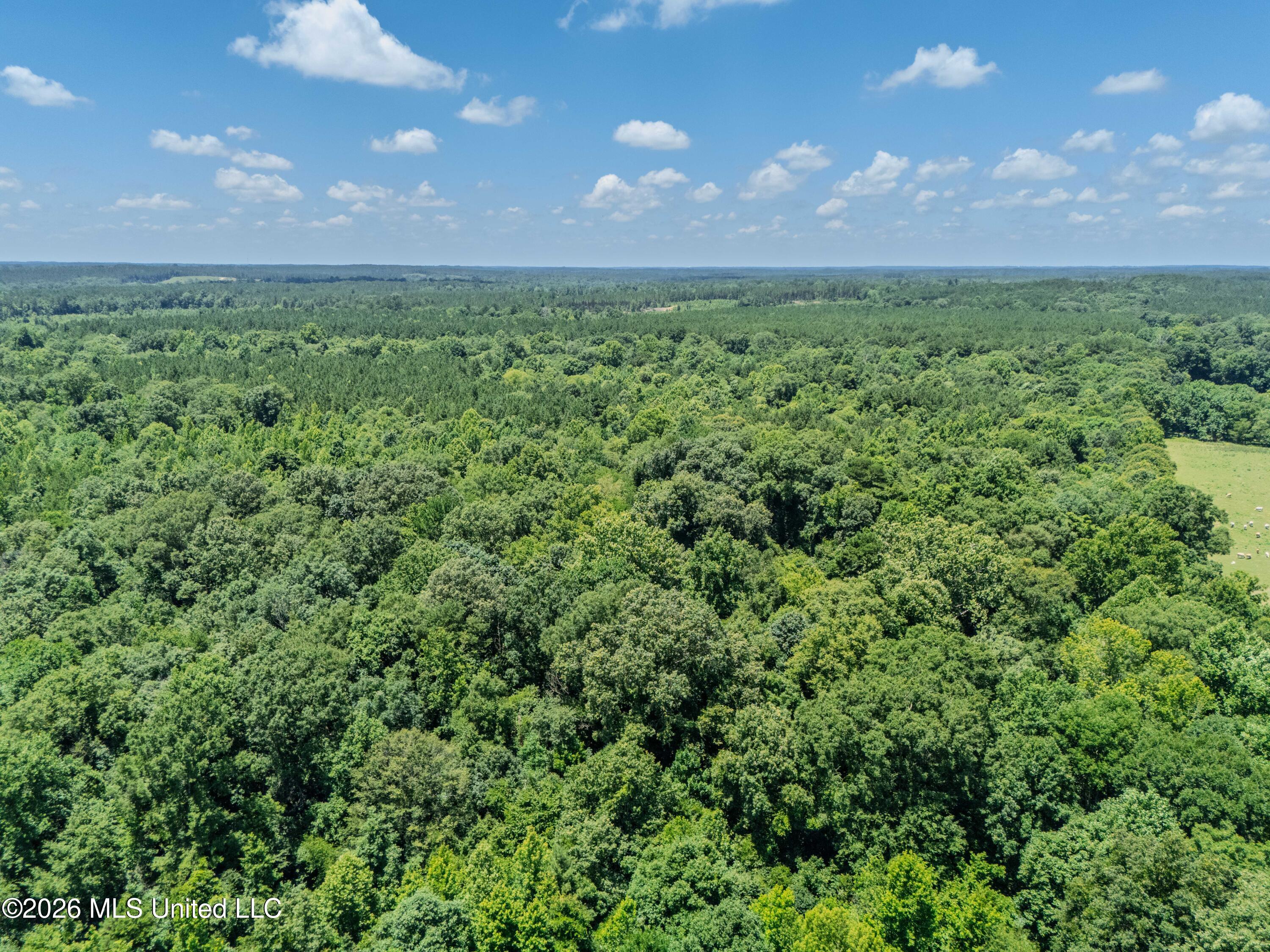 23 Co Road Bay Springs, MS 39422 - Photo 40 of 64 DJI_20260611121851_0001_D