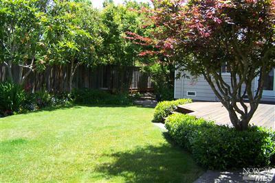 746 McClay Road Novato, CA 94947 - Photo 2 of 12 a backyard of a house with lots of green space