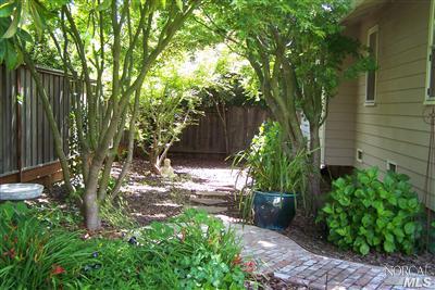 746 McClay Road Novato, CA 94947 - Photo 3 of 12 a view of a backyard with plants and large trees