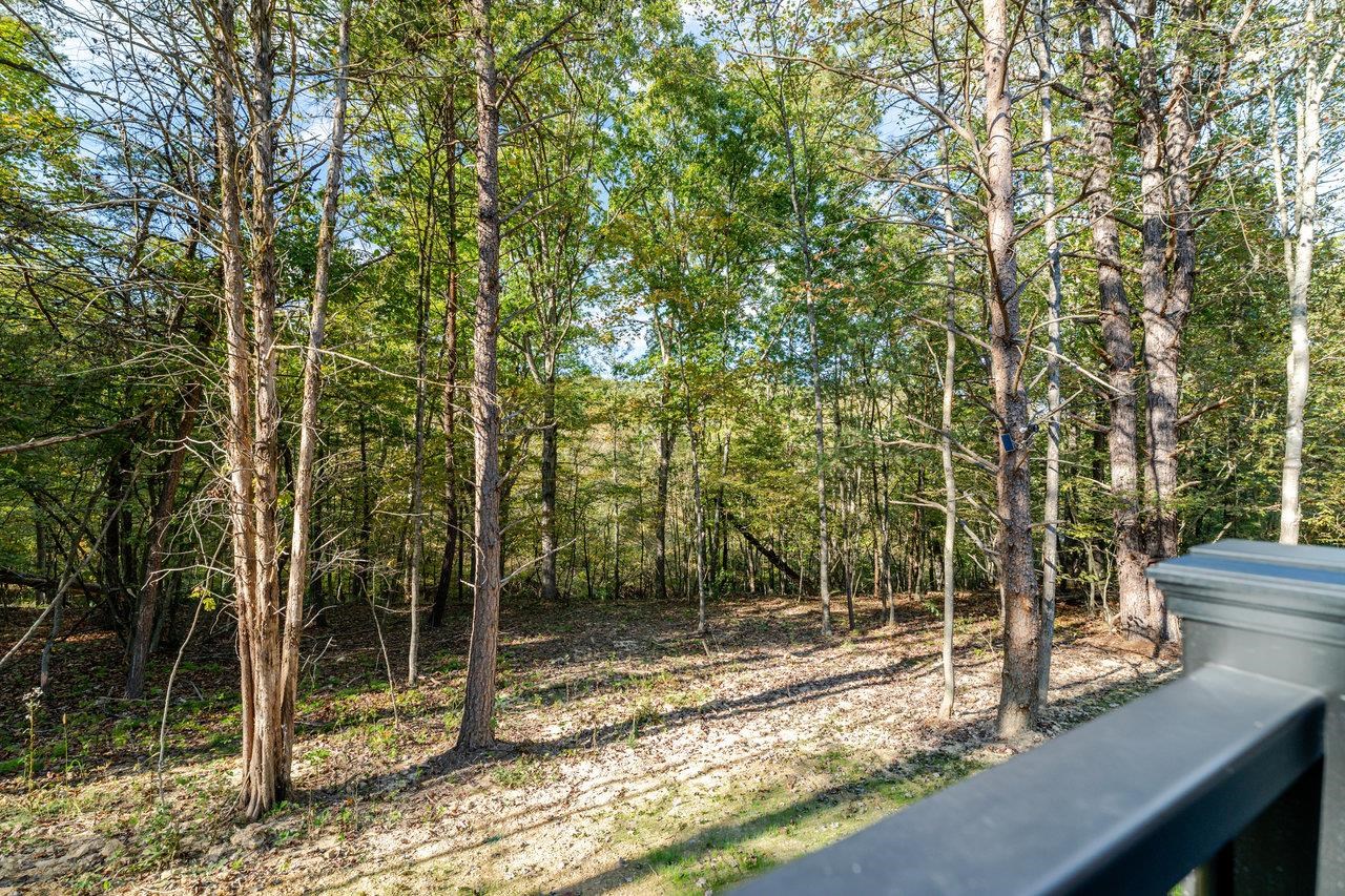 209 Beaver Road Basye, VA 22842 - Photo 58 of 68