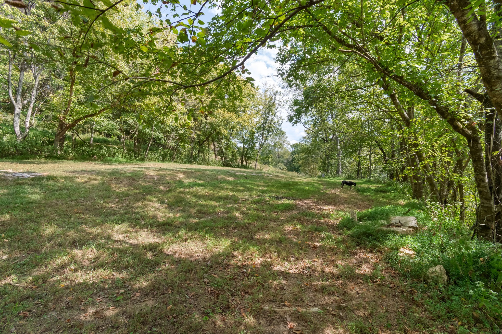 384 Big Spring Hollow Road Pulaski, TN 38478 - Photo 46 of 54 Gallery Image 46