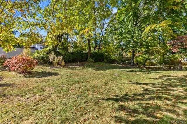 a view of a field with an trees