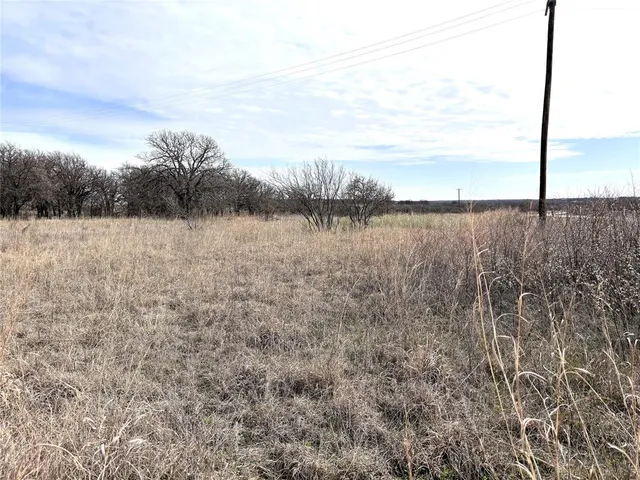 a view of a field with trees in background