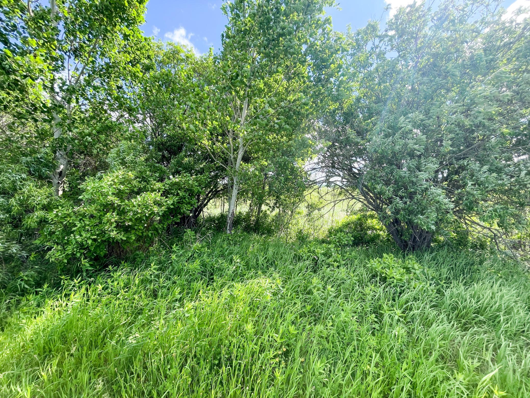 Tbd Mud Lake Road Bagley, MN 56621 - Photo 26 of 46