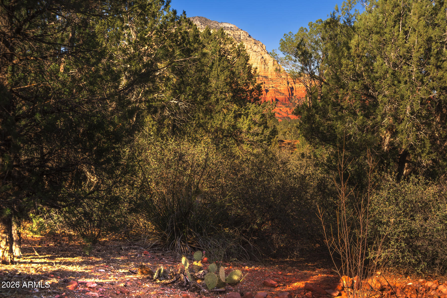 421 El Camino Road Sedona, AZ 86336 - Photo 39 of 40 IMG_2869