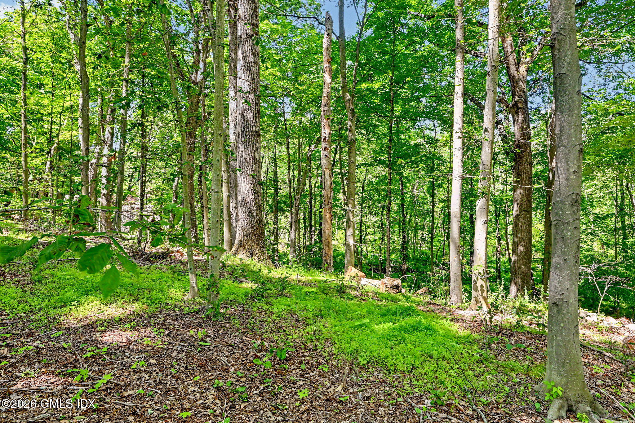 424 Cognewaugh Road Cos Cob, CT 06807 - Photo 40 of 43 52-web-or-mls-424-cognewaugh-rd