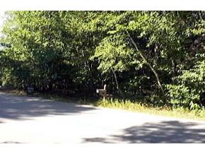 231-69 Allard Farm Road Conway, NH 03860 - Photo 2 of 2 Gallery Image 2