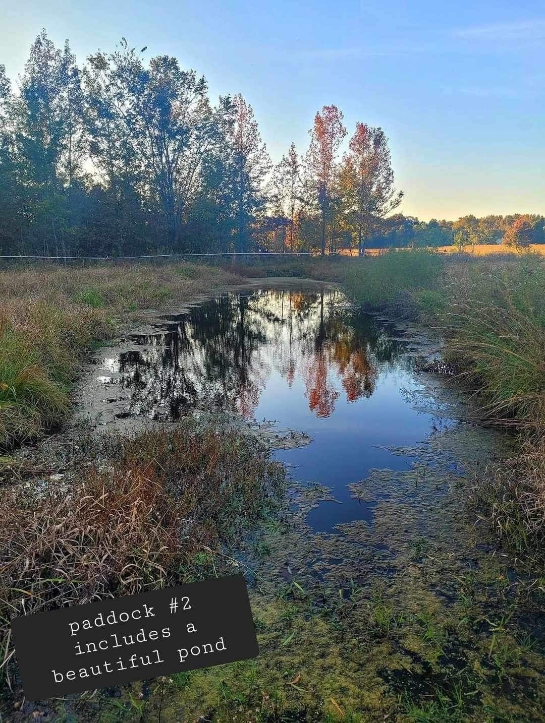 4259 Mt Zion Road Springfield, TN 37172 - Photo 11 of 29