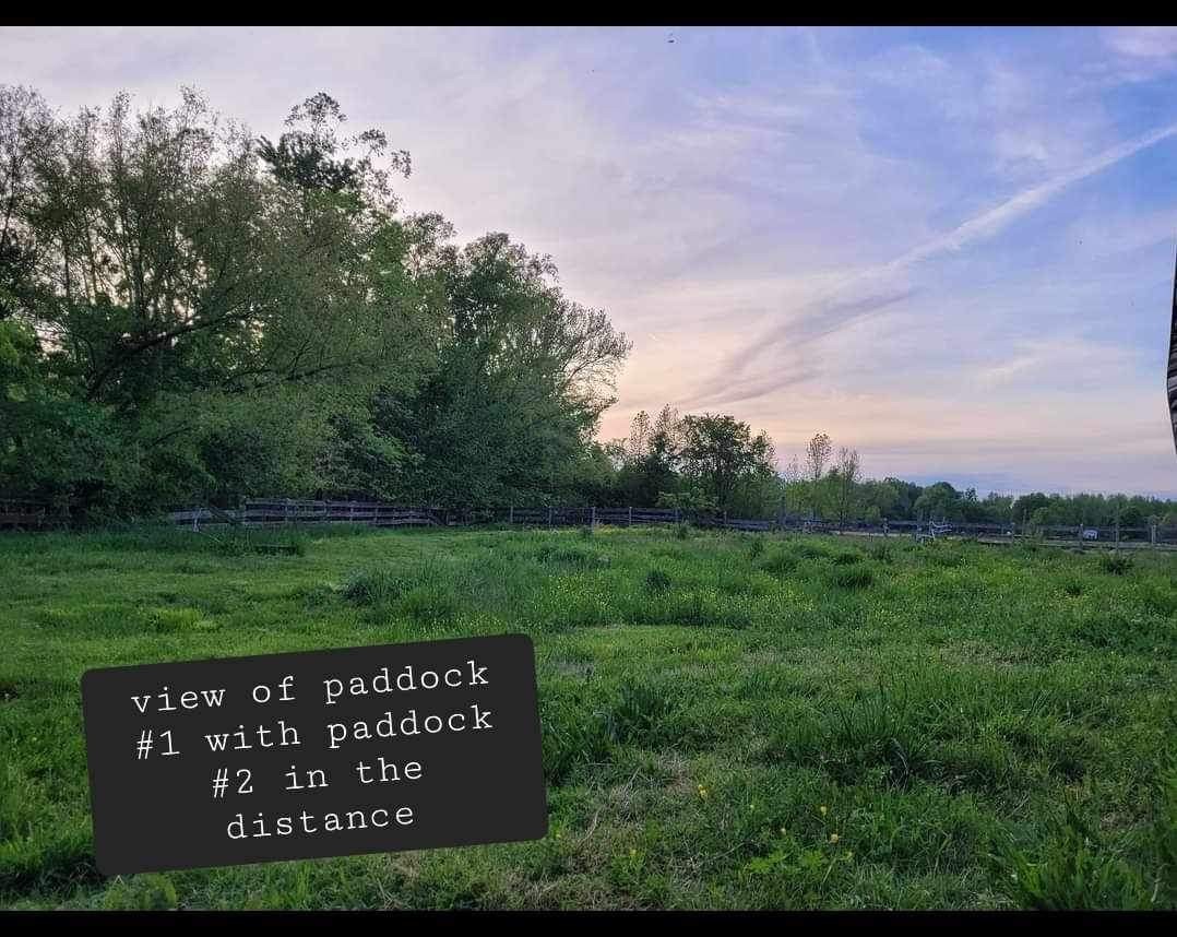 4259 Mt Zion Road Springfield, TN 37172 - Photo 10 of 29