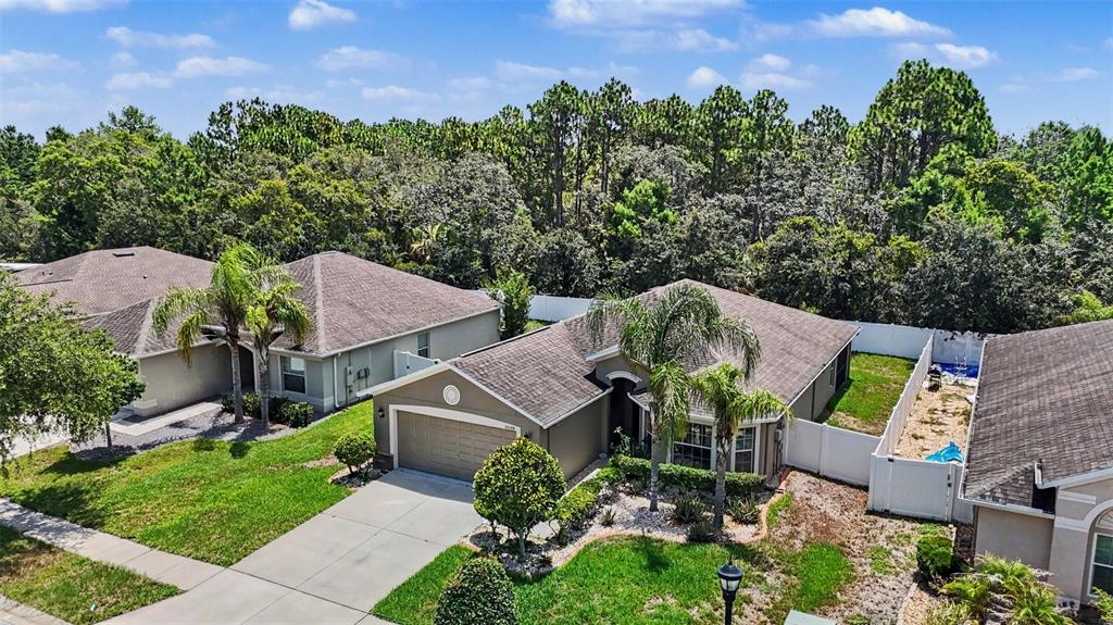 10048 Ives Loop Hudson, FL 34667 - Photo 31 of 34