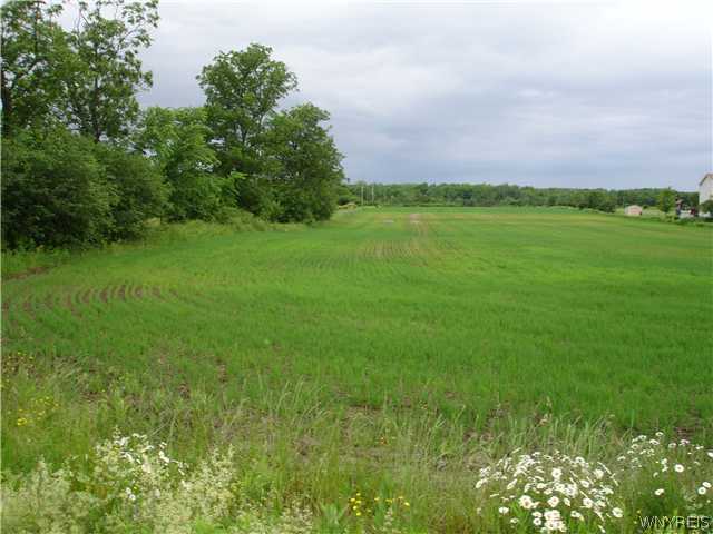 0 Bowen Road Elma, NY 14059 - Photo 1 of 1 Land