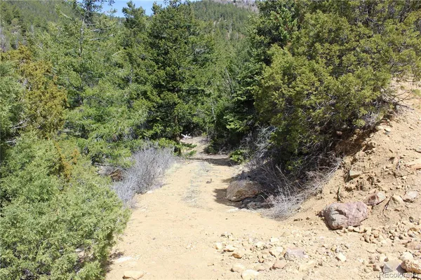 $43,000 | 0 County Road 308, Dumont, CO 80436
