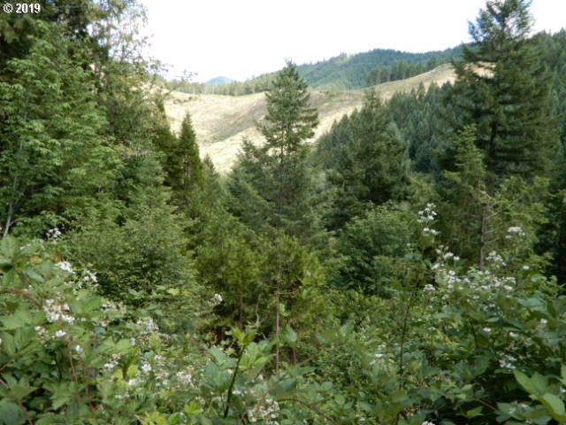 12900 North Myrtle Road Myrtle Creek, OR 97457 - Photo 17 of 18 Gallery Image 17