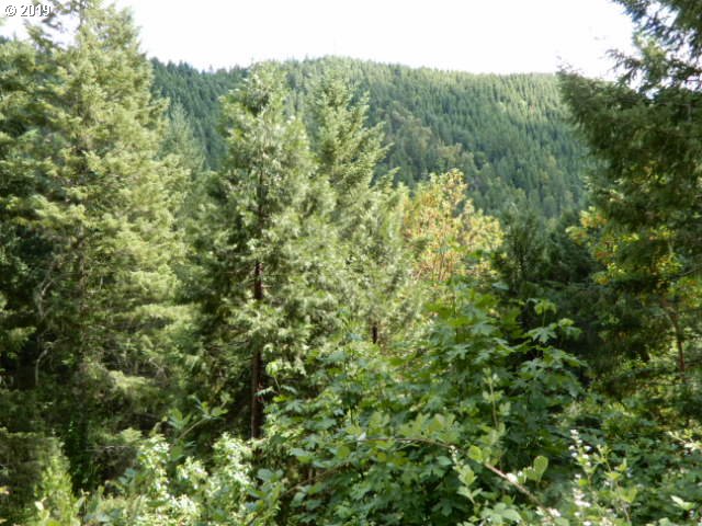 12900 North Myrtle Road Myrtle Creek, OR 97457 - Photo 18 of 18 Gallery Image 18