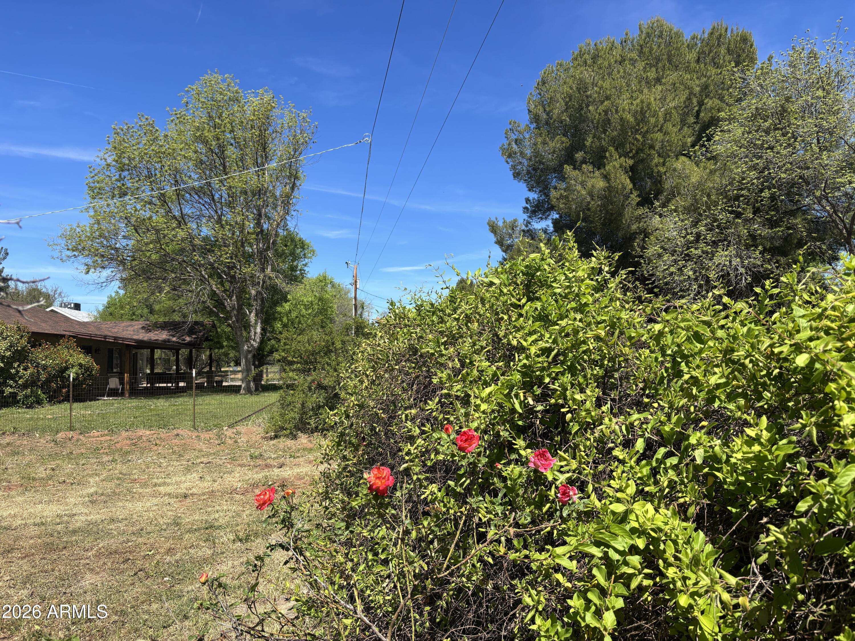 2118 North Rustler Trail, Unit 58 Camp Verde, AZ 86322 - Photo 4 of 13 a view of a garden with plants and large trees