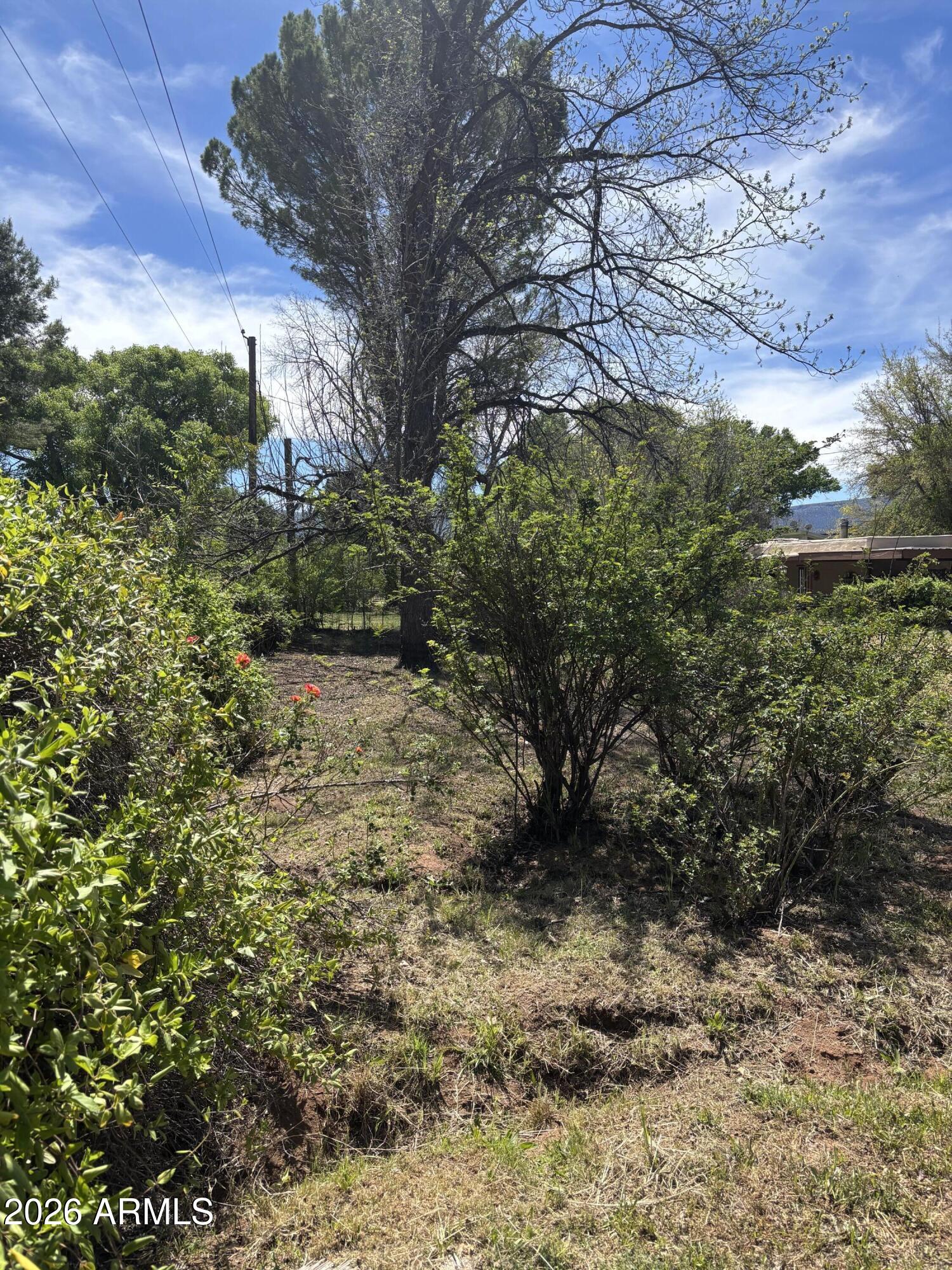 2118 North Rustler Trail, Unit 58 Camp Verde, AZ 86322 - Photo 5 of 13 a view of a yard with plants and a tree