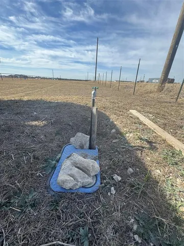 a view of a dry yard
