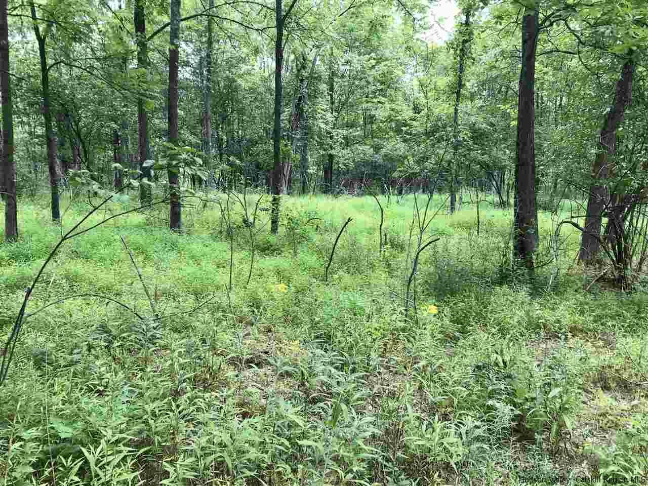 302 Libertyville Road Gardiner, NY 12561 - Photo 11 of 20 Photo 11