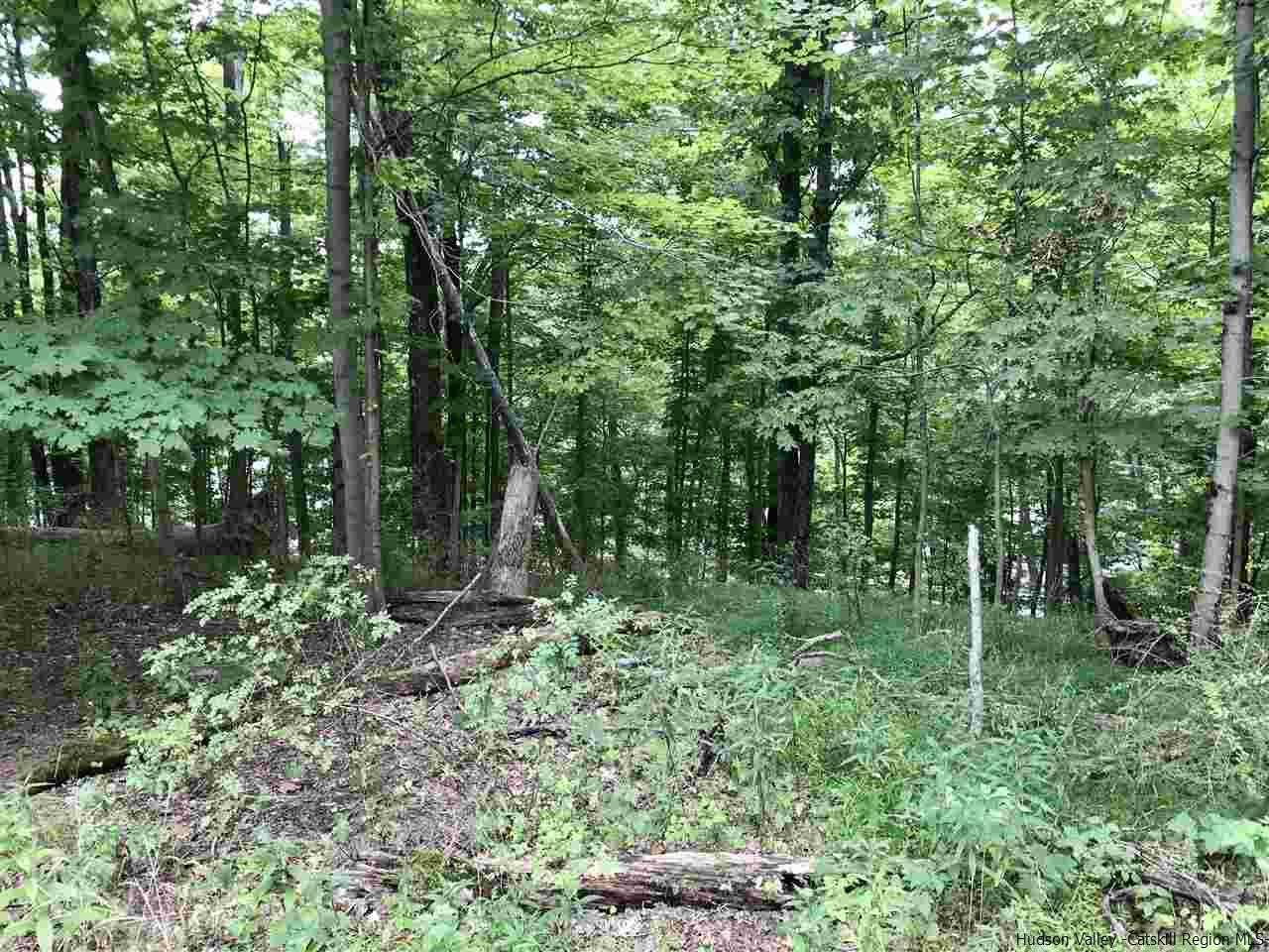 302 Libertyville Road Gardiner, NY 12561 - Photo 16 of 20 Photo 16