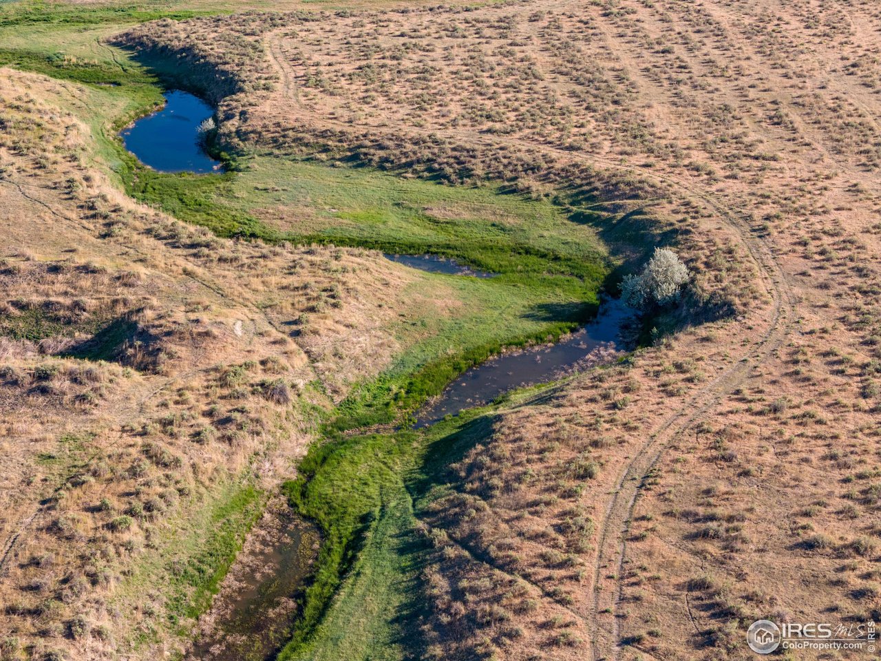 0 CR 90 Pierce, CO 80650 - Photo 11 of 29 a view of a yard with pathway