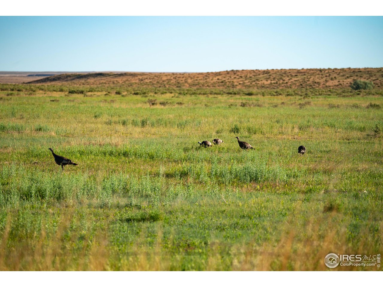 0 CR 90 Pierce, CO 80650 - Photo 16 of 29 a view of an ocean