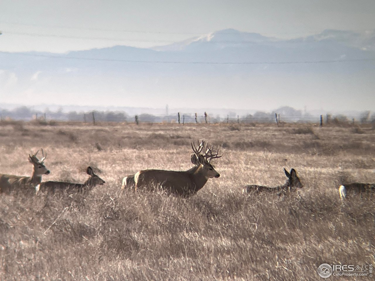 0 CR 90 Pierce, CO 80650 - Photo 20 of 29 a view of a lake with houses in the background