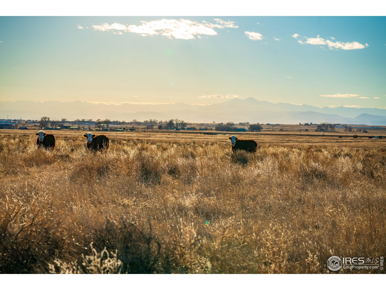 0 CR 90 Pierce, CO 80650 - Photo 25 of 29 a view of a lake with houses in the back