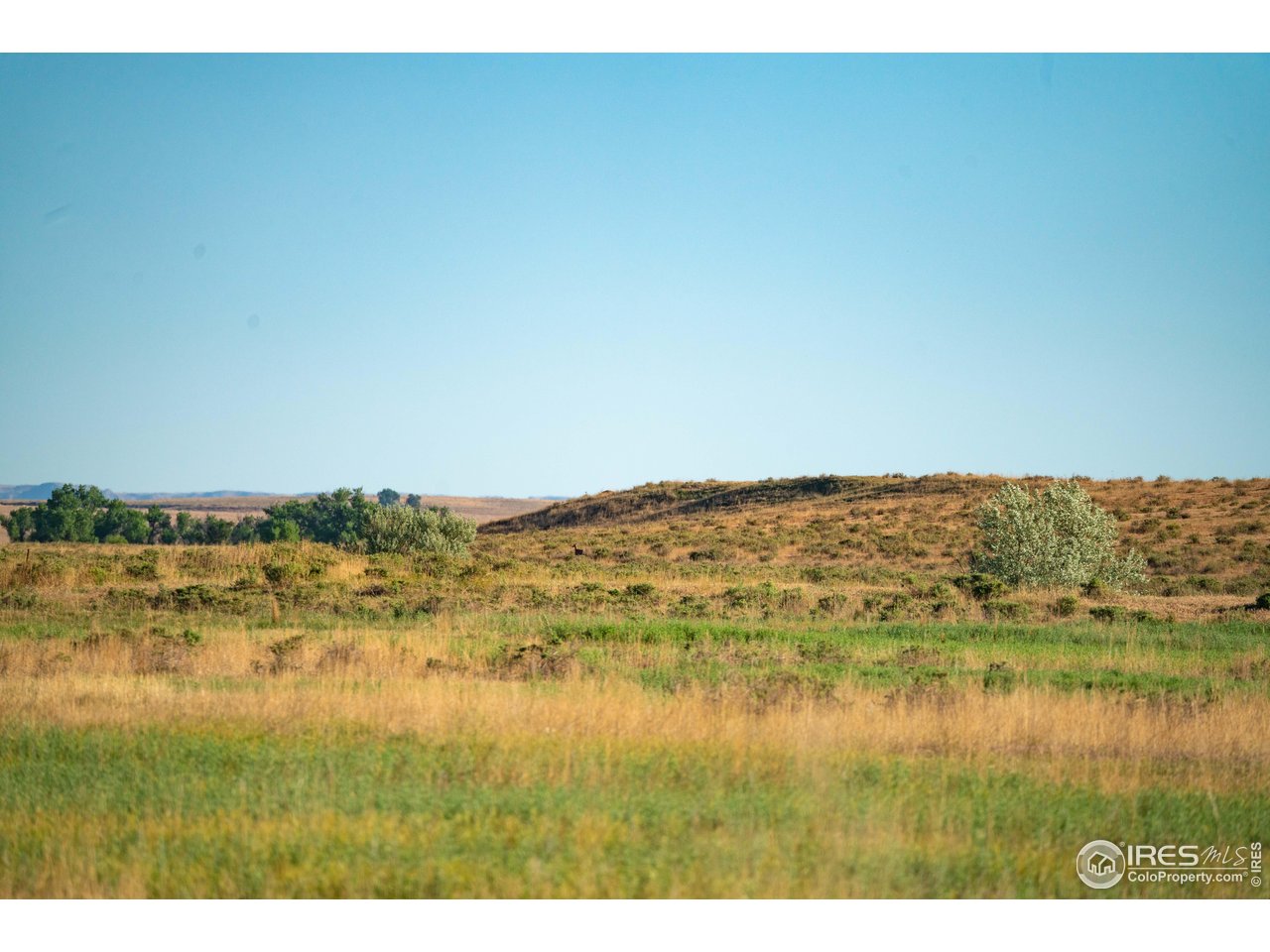 0 CR 90 Pierce, CO 80650 - Photo 27 of 29 a view of lake and mountain