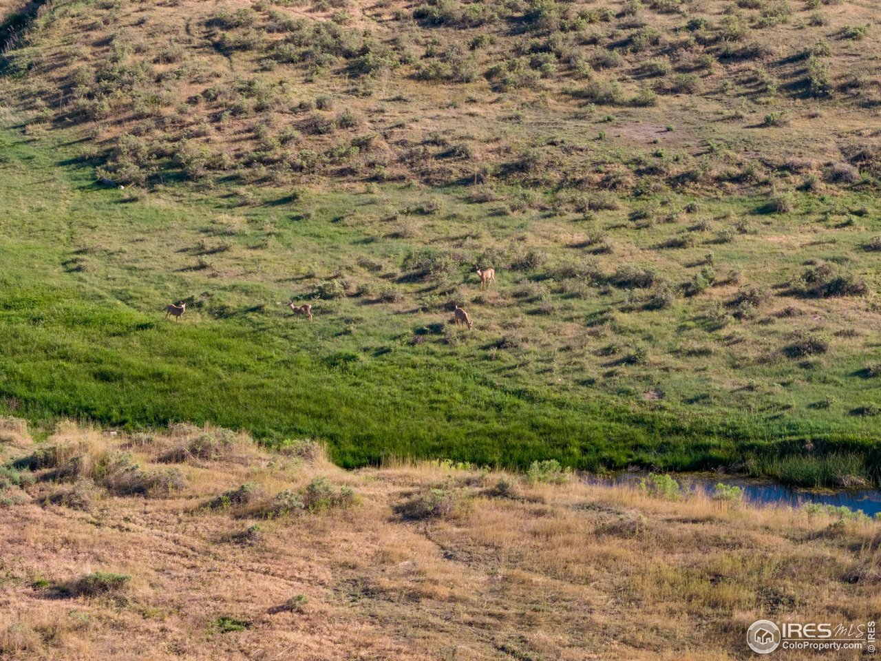 0 CR 90 Pierce, CO 80650 - Photo 9 of 29 a view of a lake with a yard