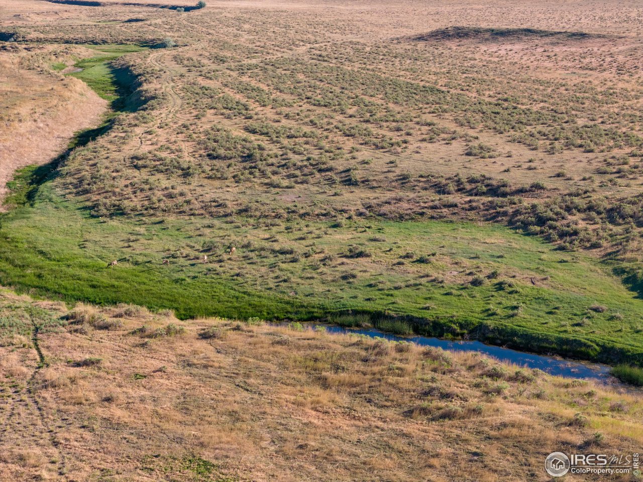 0 CR 90 Pierce, CO 80650 - Photo 10 of 29 a view of a lake view