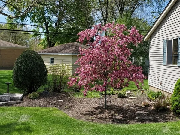 $524,900 | 1715 Verde Court, Mount Prospect, IL 60056