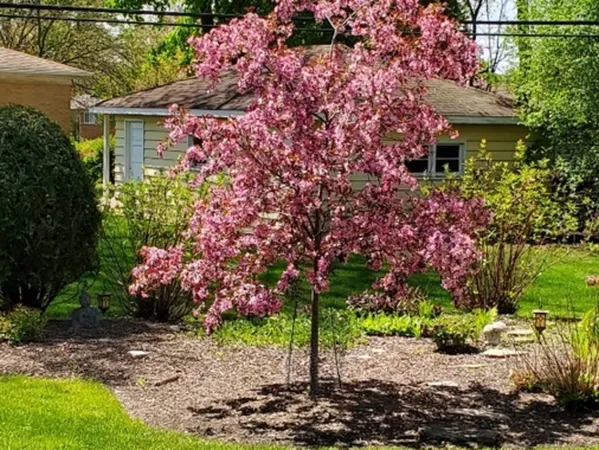 $524,900 | 1715 Verde Court, Mount Prospect, IL 60056