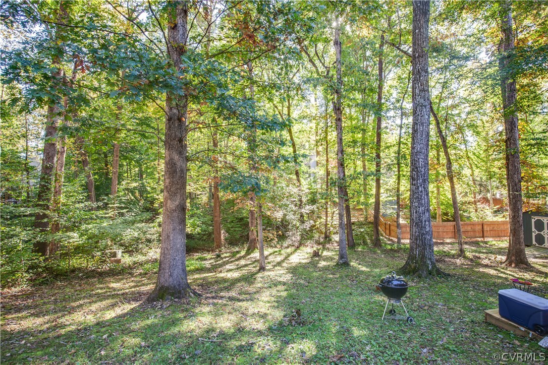 1425 Lockett Ridge Road Midlothian, VA 23114 - Photo 4 of 31 Gallery Image 4