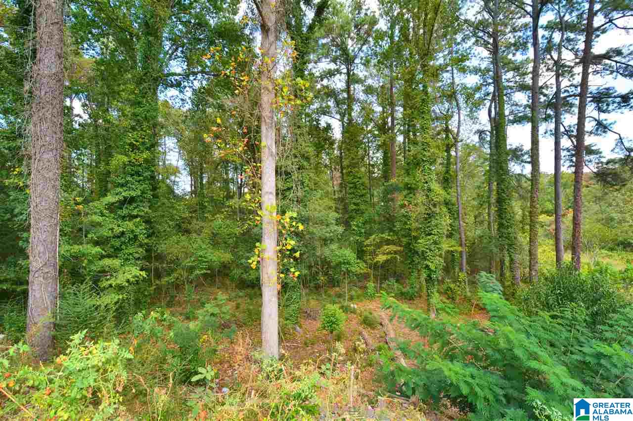 3309 Teakwood Road Birmingham, AL 35226 - Photo 43 of 45