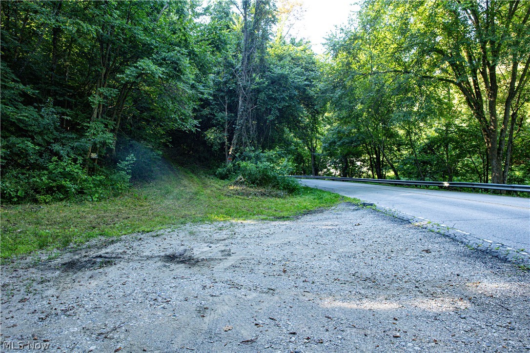 52982 Wegee Road Shadyside, OH 43947 - Photo 37 of 48