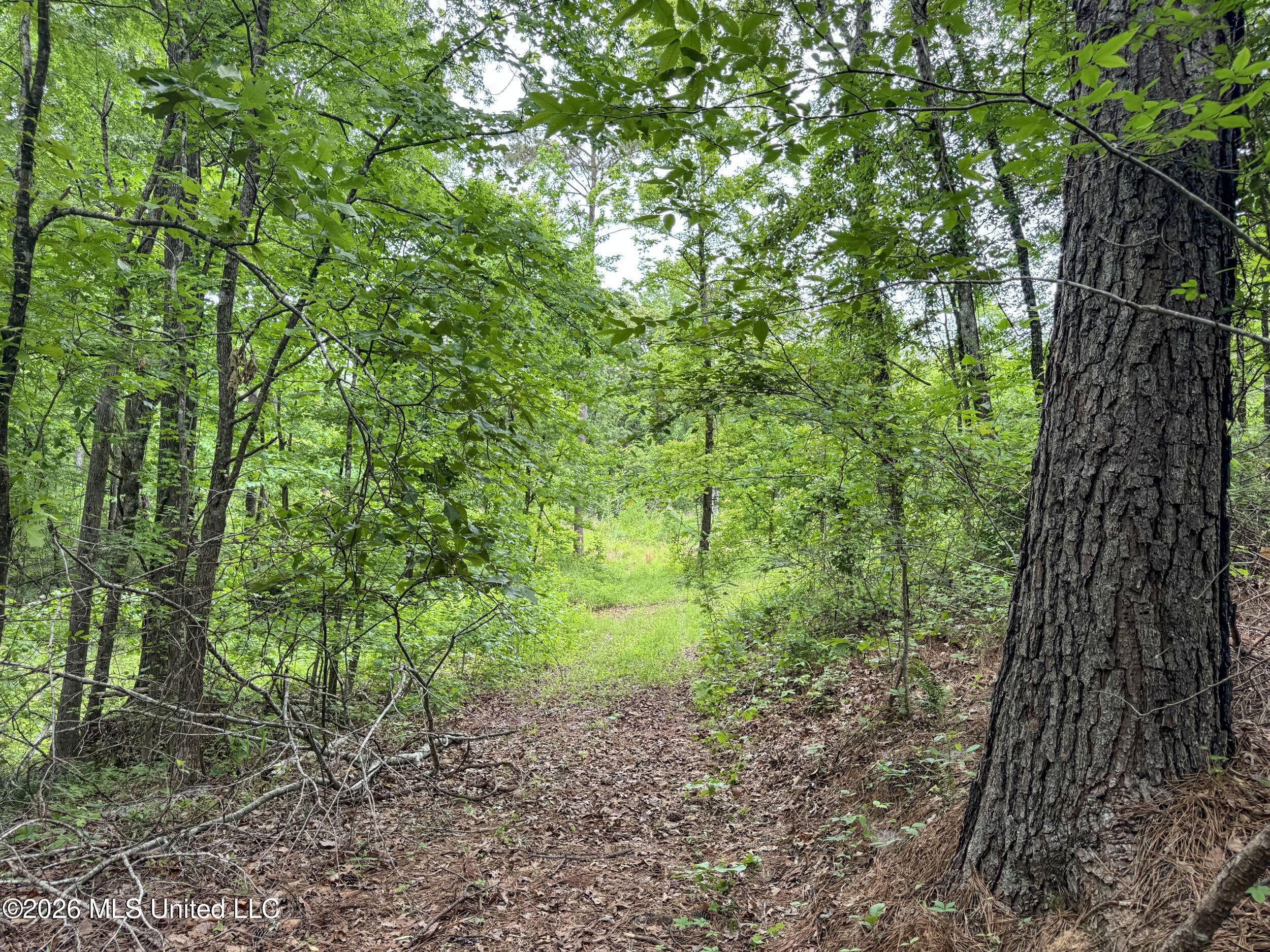 Wayne Massie Road Como, MS 38619 - Photo 111 of 184 5cdtbs45