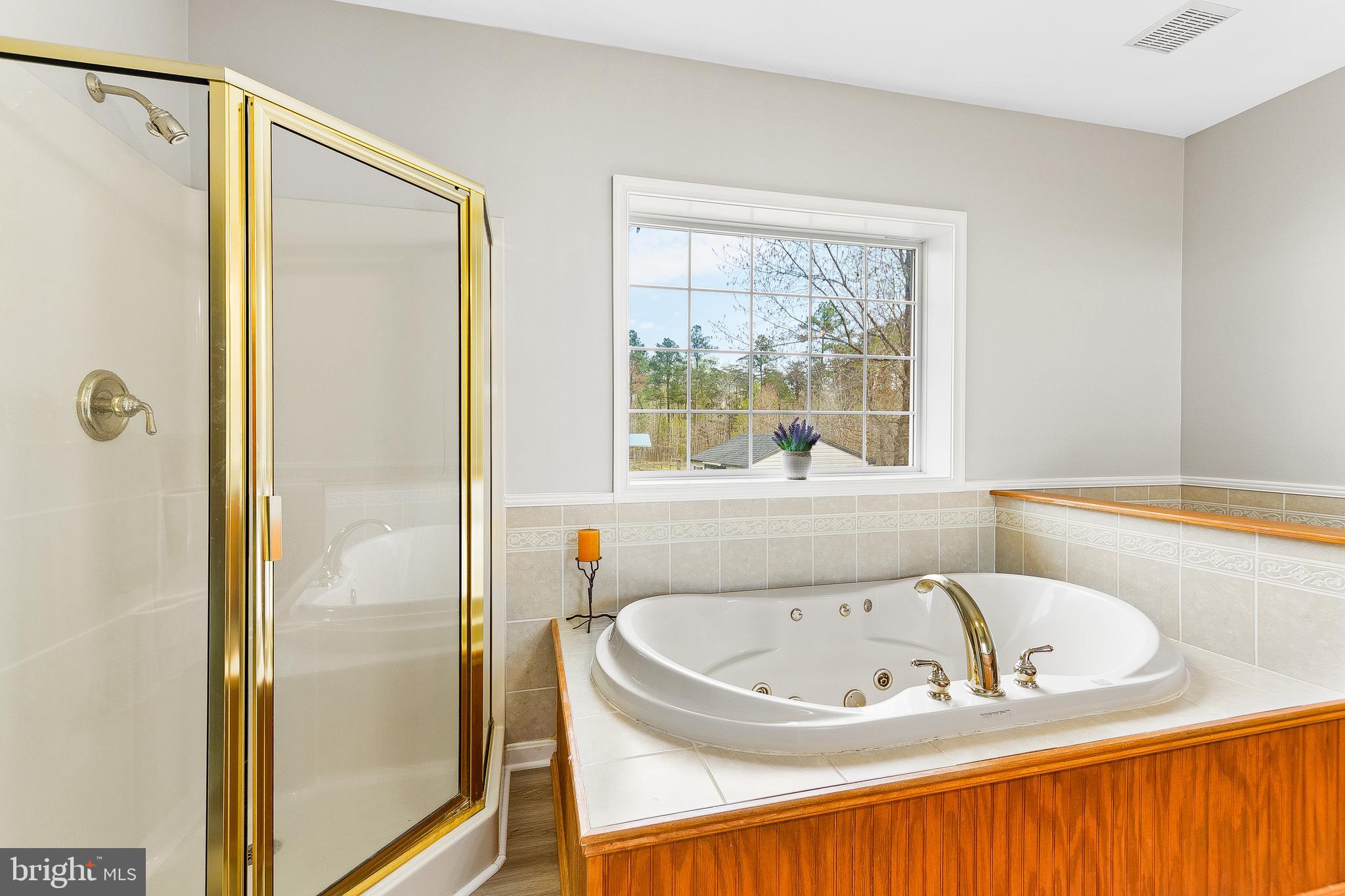 40280 Wathen Road Leonardtown, MD 20650 - Photo 36 of 64 Tub & shower close-up