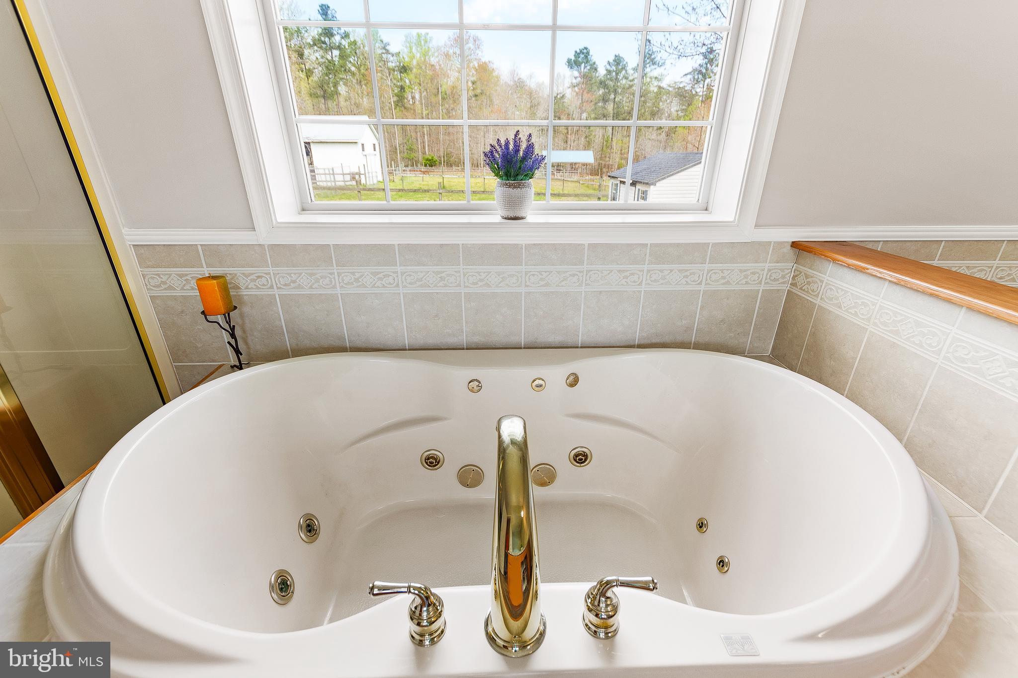 40280 Wathen Road Leonardtown, MD 20650 - Photo 37 of 64 Jacuzzi style tub