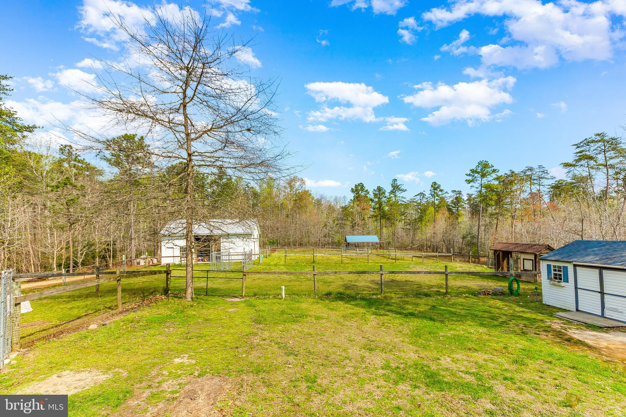 40280 Wathen Road Leonardtown, MD 20650 - Photo 53 of 64 Back yard area w/ pasture in behind