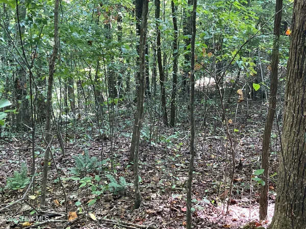 $24,000 | 81-a-82a Licklog Road, Hayesville, NC 28904