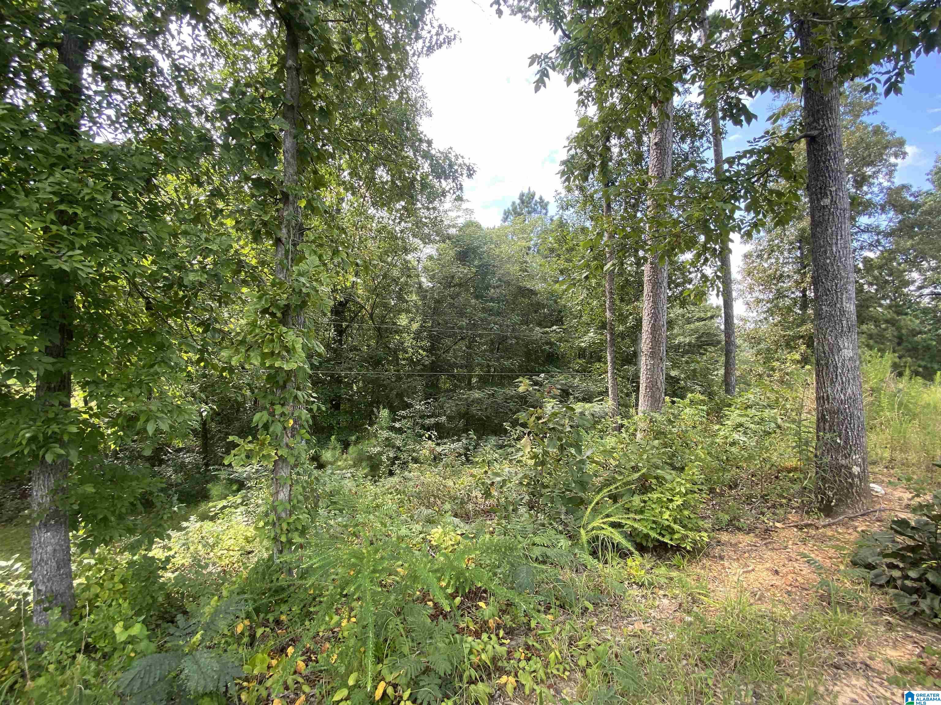 707 Sagebrush Road, Unit 12 Ashville, AL 35953 - Photo 4 of 8