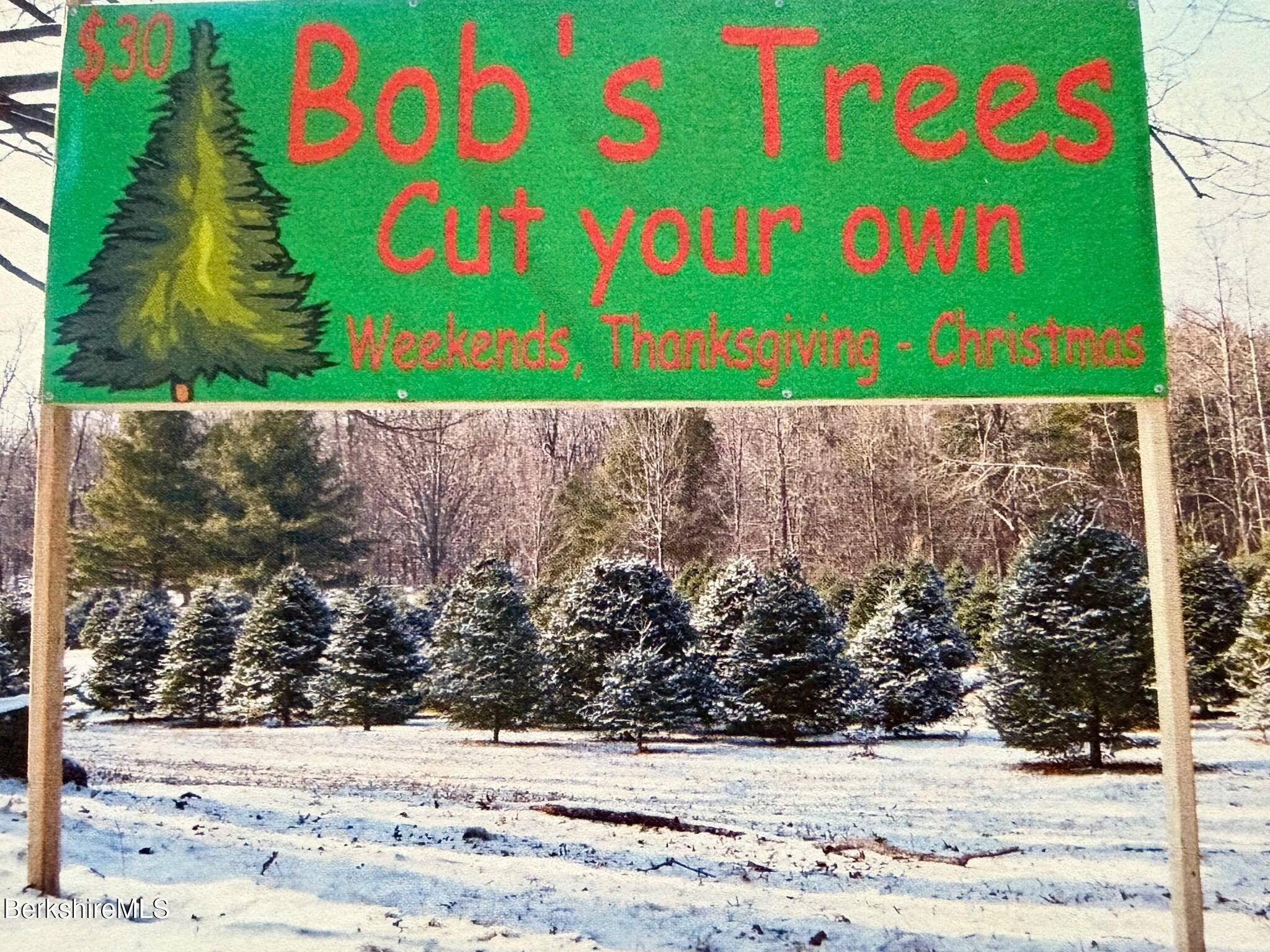 10 Maple Street Plainfield, MA 01070 - Photo 3 of 42 3-tree farm