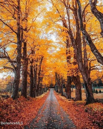 a view of outdoor space and trees