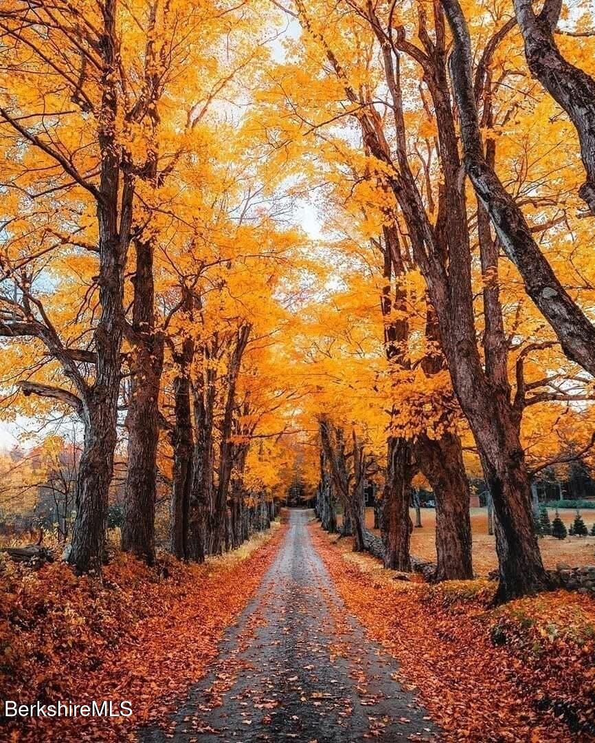 10 Maple Street Plainfield, MA 01070 - Photo 6 of 42 6-drive