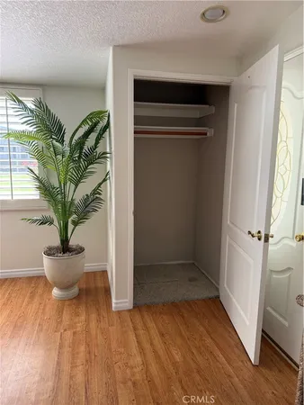 a view of empty room with wooden floor and potted plant